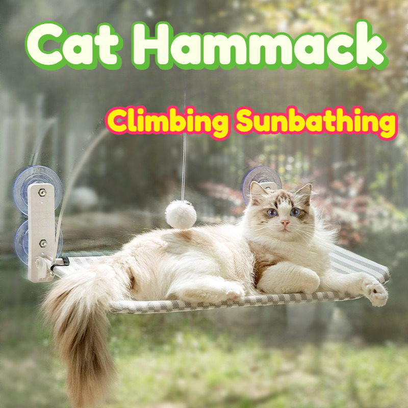 Cat Window Perch - เปลแมวแบบแขวนหน้าต่าง ที่นอนแมวแบบดูดติดแน่น พับเก็บได้ ถอดซักได้ ของเล่นแบบอินเทอร์แอคทีฟ รับน้ำหนักได้ถึง