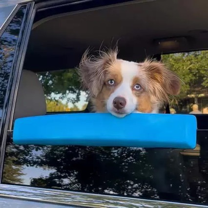 ที่พักหน้าต่างสำหรับสัตว์เลี้ย - Cat Window Perch บทวิจารณ์และราคา