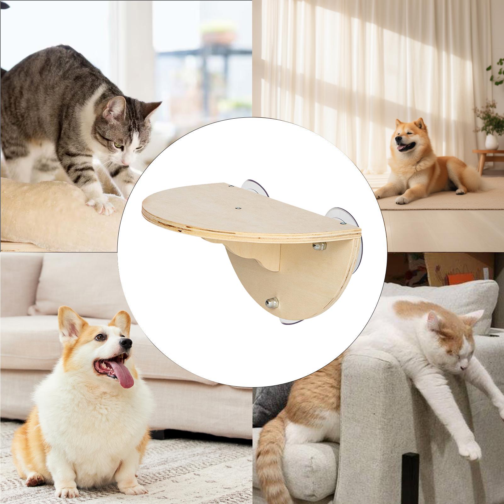 ที่นั่งแมวติดหน้าต่าง ประหยัดพ - Cat Window Perch บทวิจารณ์และราคา