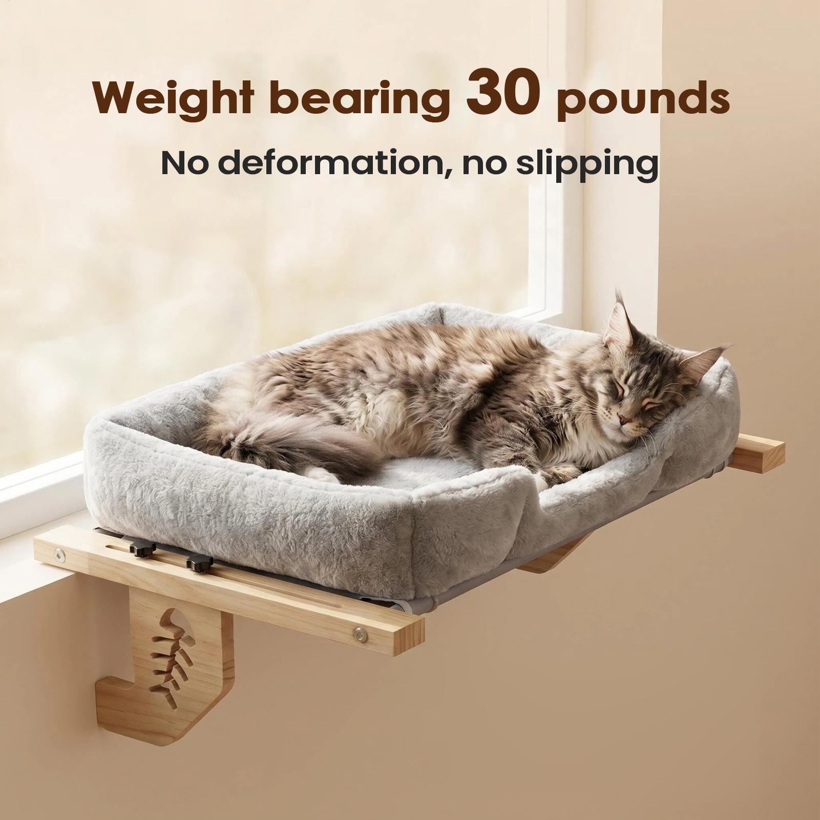 ที่นั่งแมวบนหน้าต่างพร้อมเบาะก - Cat Window Perch บทวิจารณ์และราคา