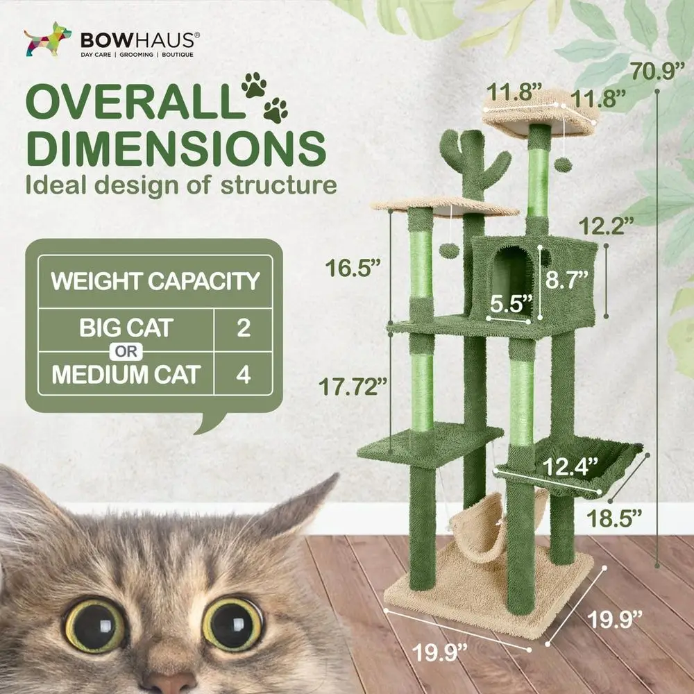 ต้นไม้แมวธีมกระบองเพชรแบบหลายช - Cat Scratching Post บทวิจารณ์และราคา