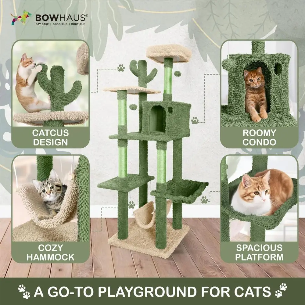 ต้นไม้แมวธีมกระบองเพชรแบบหลายช - Cat Scratching Post บทวิจารณ์และราคา