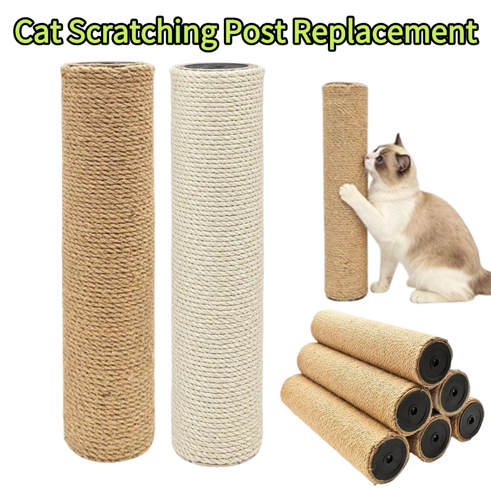อุปกรณ์เสริมเสาปีนป่ายสำหรับแม - Cat Window Perch บทวิจารณ์และราคา