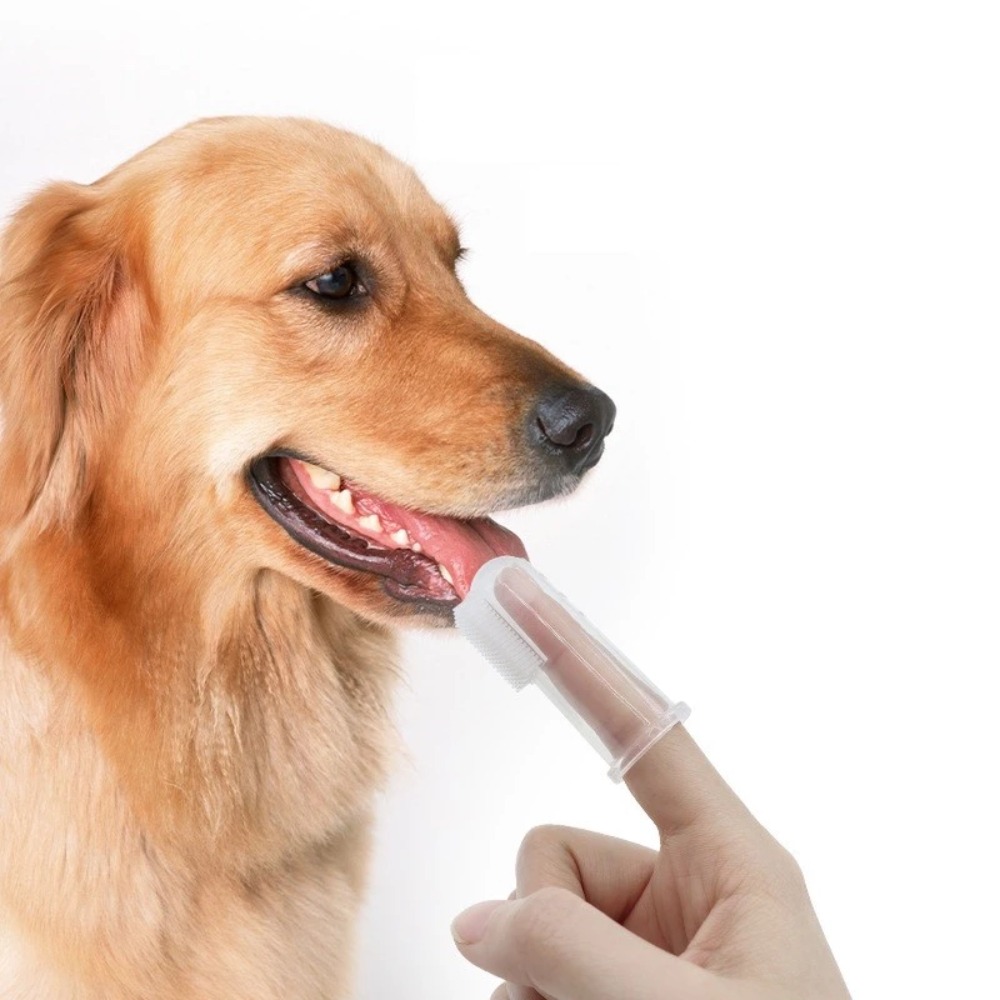 แปรงสีฟันนิ้วมือนุ่มพิเศษสำหรั - Pet Supplies Us บทวิจารณ์และราคา