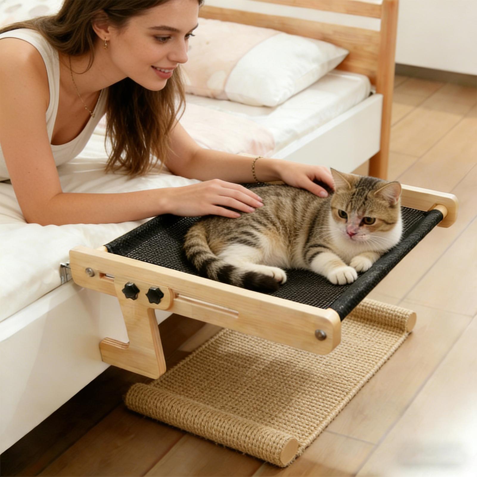 เตียงแมวแบบแขวนหน้าต่าง เฟอร์น - Cat Window Perch บทวิจารณ์และราคา