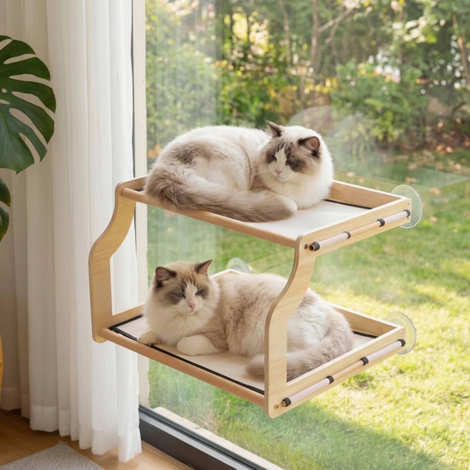 เตียงแมวติดหน้าต่าง ติดตั้งง่า - Cat Window Perch บทวิจารณ์และราคา