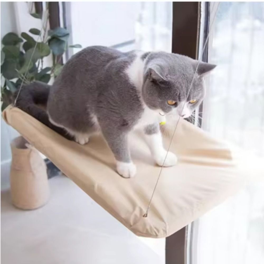 ที่นอนแมวแบบแขวนอเนกประสงค์ ดี - Cat Window Perch บทวิจารณ์และราคา