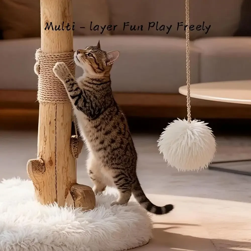 ต้นไม้แมวในบ้านพร้อมกิ่งไม้ธรร - Cat Scratching Post บทวิจารณ์และราคา