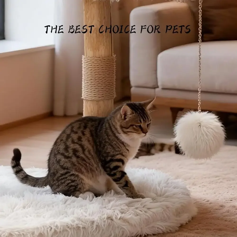 ต้นไม้แมวในบ้านพร้อมกิ่งไม้ธรร - Cat Scratching Post บทวิจารณ์และราคา