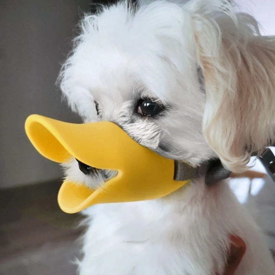 ตะกร้อครอบปากเป็ดซิลิโคนสำหรับ - Dog Muzzle Silicone บทวิจารณ์และราคา