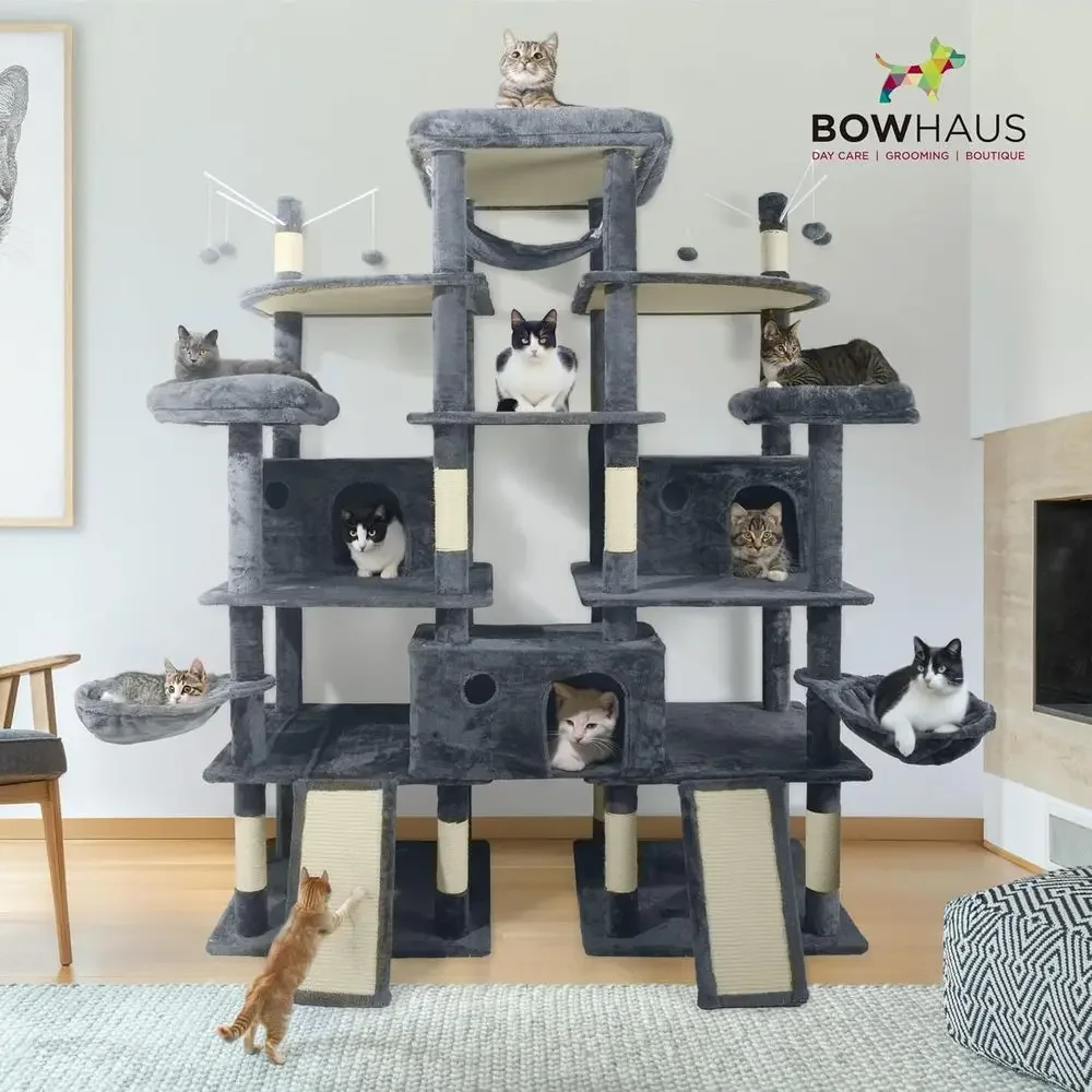 เสาแมวสูง 80 นิ้วสำหรับแมวตัวใ - Cat Scratching Post บทวิจารณ์และราคา