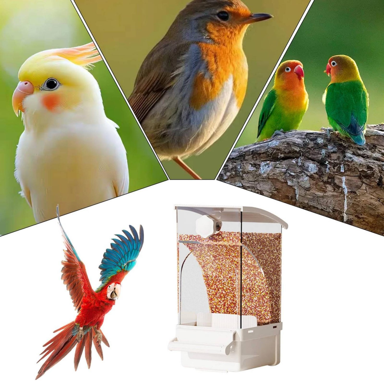 เครื่องให้อาหารนกอัตโนมัติ แยก - Pet Supplies Us บทวิจารณ์และราคา