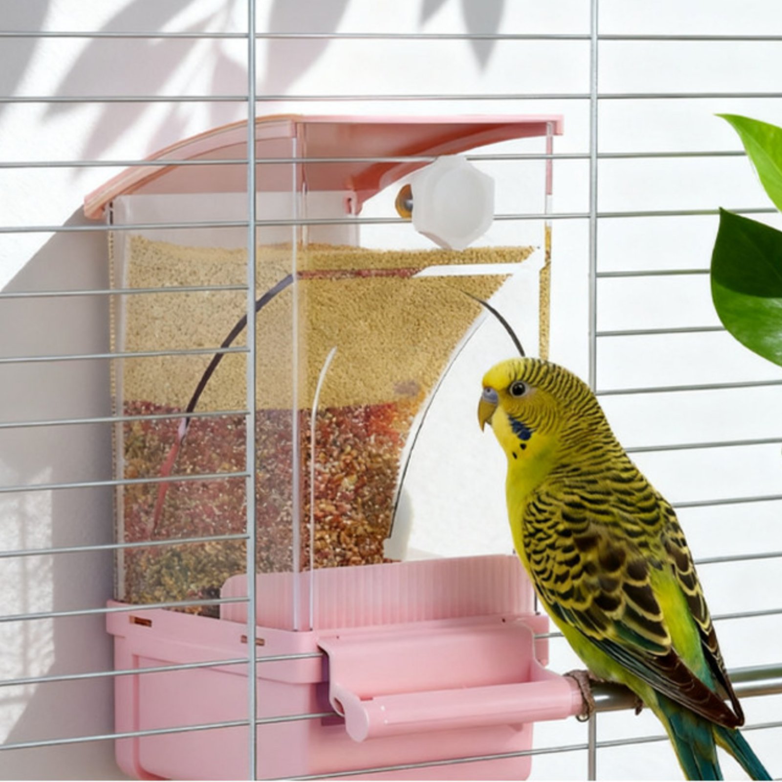 เครื่องให้อาหารนกอัตโนมัติ แยก - Pet Supplies Us บทวิจารณ์และราคา