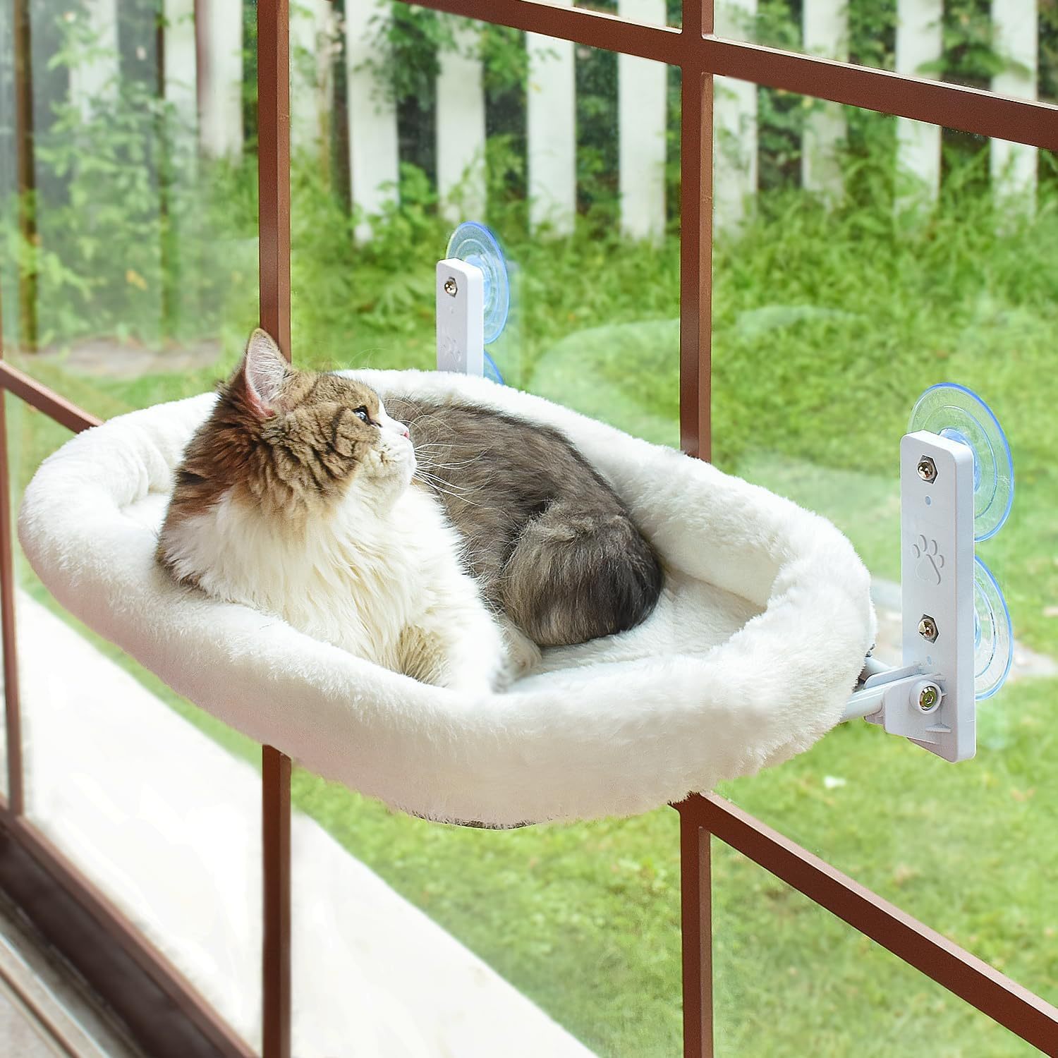 เปลแมวแบบแขวนหน้าต่างพร้อมถ้วย - Cat Window Perch บทวิจารณ์และราคา