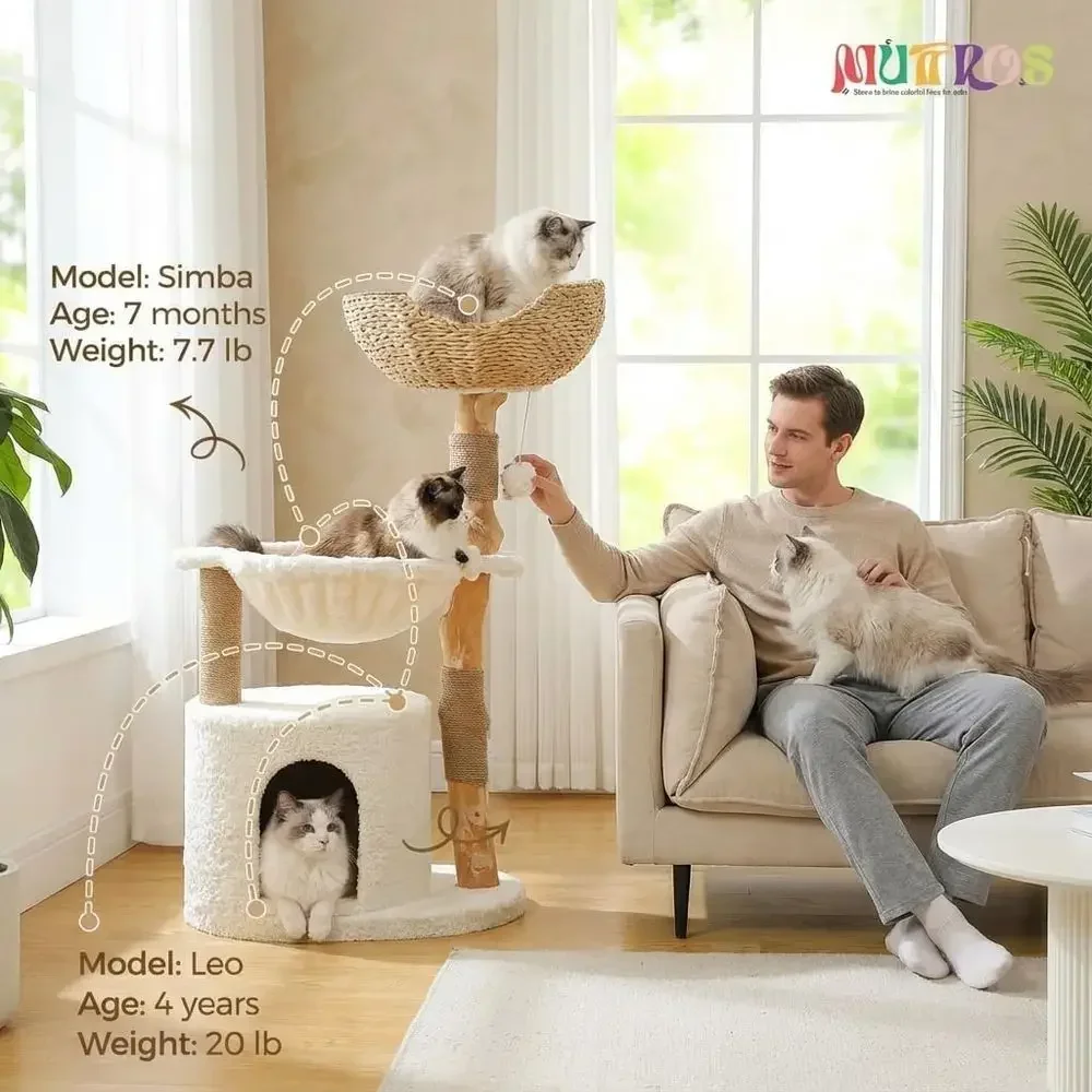 ต้นไม้แมวขนาดใหญ่ที่สะดวกสบายพ - Cat Scratching Post บทวิจารณ์และราคา