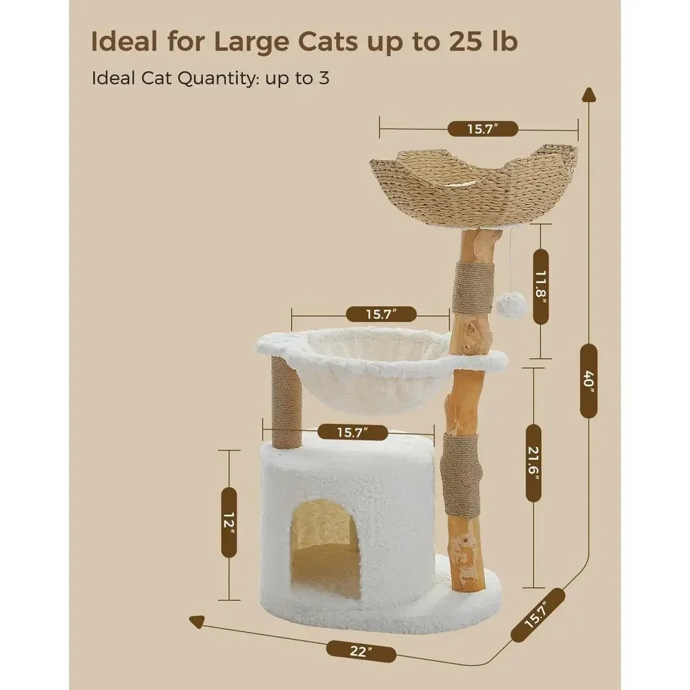 ต้นไม้แมวขนาดใหญ่ที่สะดวกสบายพ - Cat Scratching Post บทวิจารณ์และราคา