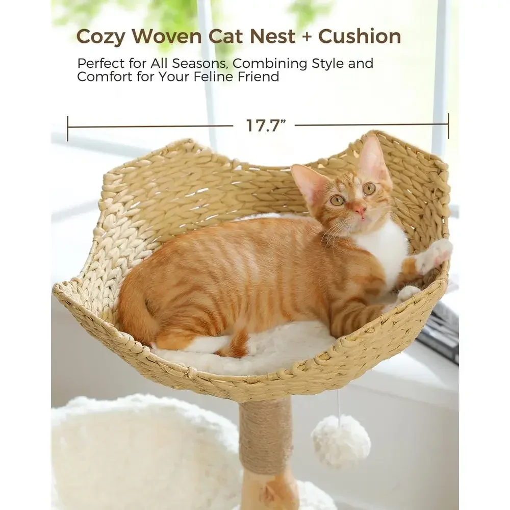 ต้นไม้แมวขนาดใหญ่ที่สะดวกสบายพ - Cat Scratching Post บทวิจารณ์และราคา
