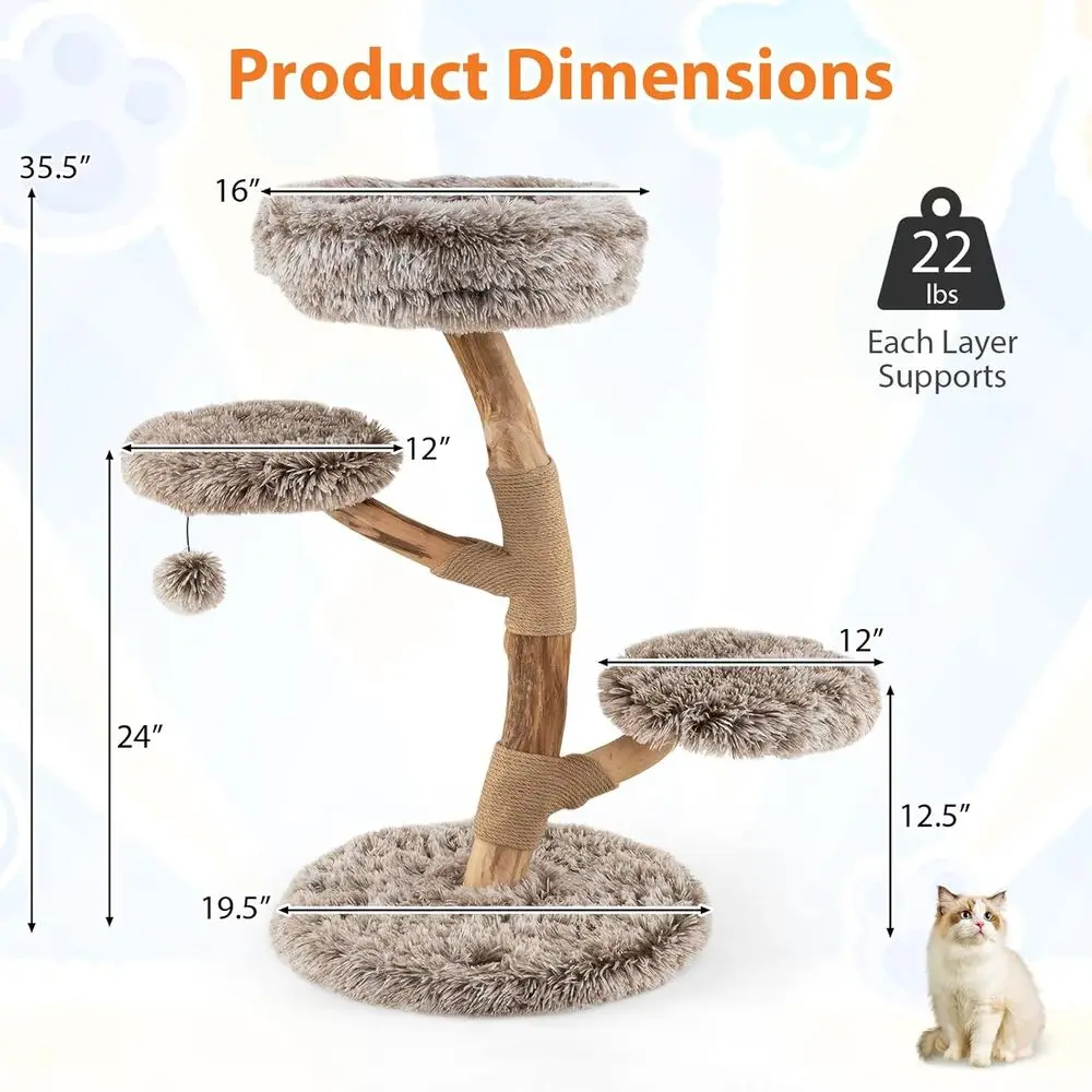 หอแมวไม้หลายชั้นพร้อมเสาข่วน,  - Cat Scratching Post บทวิจารณ์และราคา