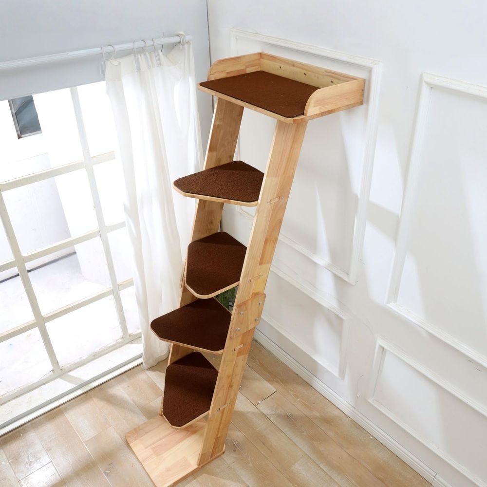 SHENGOCASE ต้นไม้ปีนป่ายสำหรับ - Cat Window Perch บทวิจารณ์และราคา