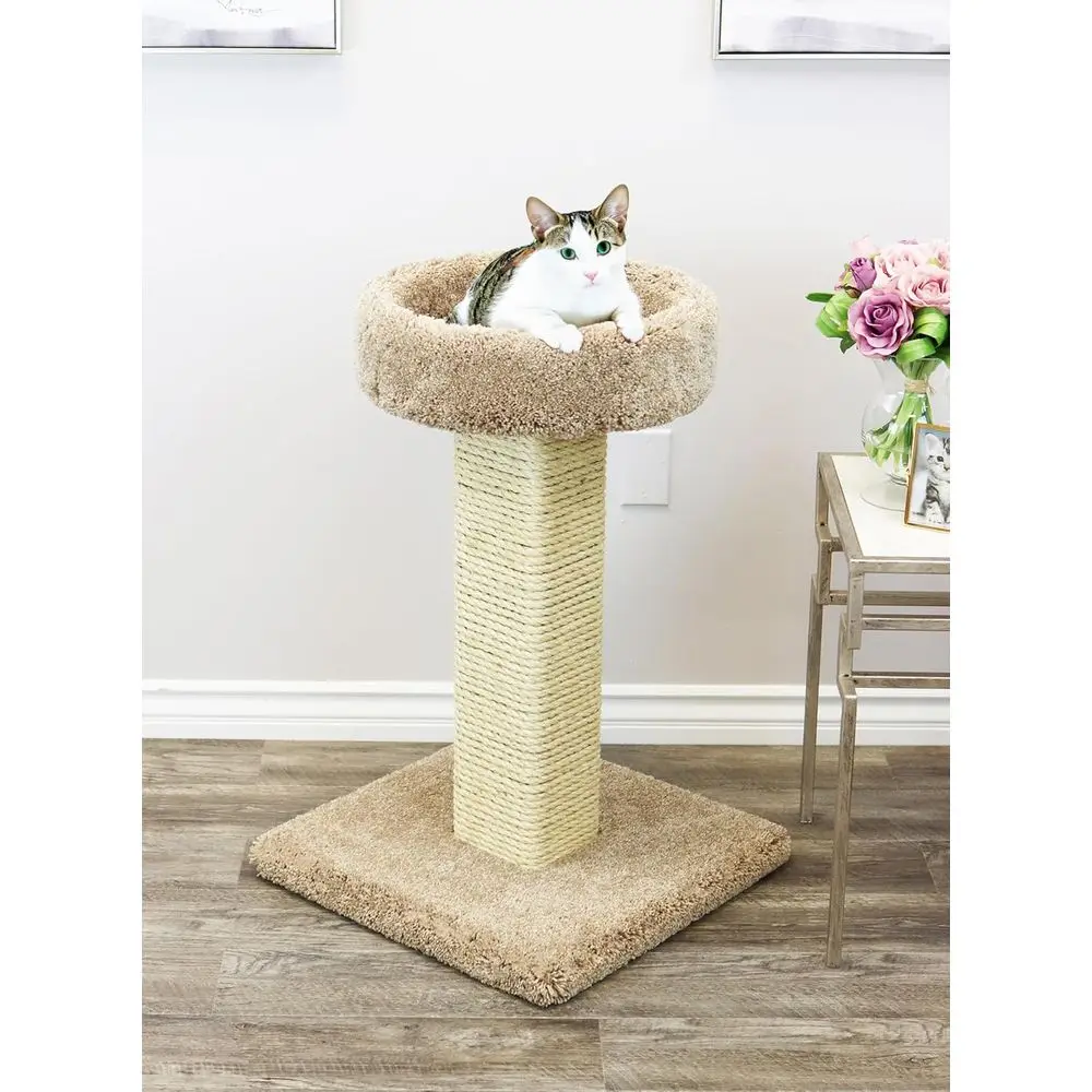 เสาข่วนแมวไม้เนื้อแข็งขนาดใหญ่ - Cat Scratching Post บทวิจารณ์และราคา