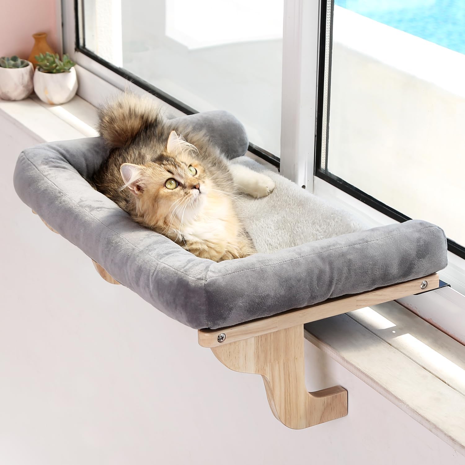 ที่นอนแมวสำหรับวางบนขอบหน้าต่า - Cat Window Perch บทวิจารณ์และราคา