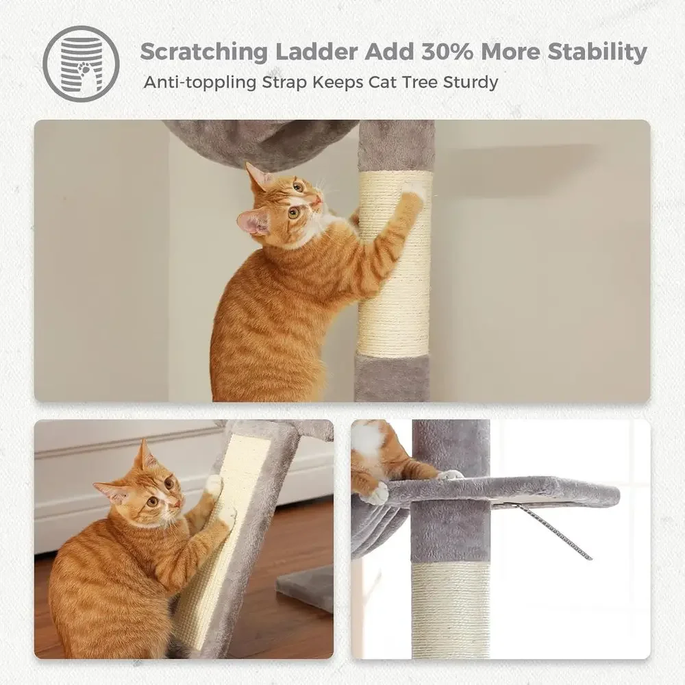 ต้นไม้แมวปรับระดับได้ 5 ระดับ  - Cat Scratching Post บทวิจารณ์และราคา
