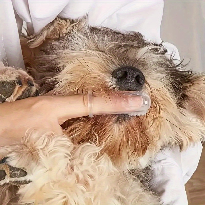 แปรงสีฟันสำหรับสัตว์เลี้ยง 5 ช - Dog Muzzle Silicone บทวิจารณ์และราคา