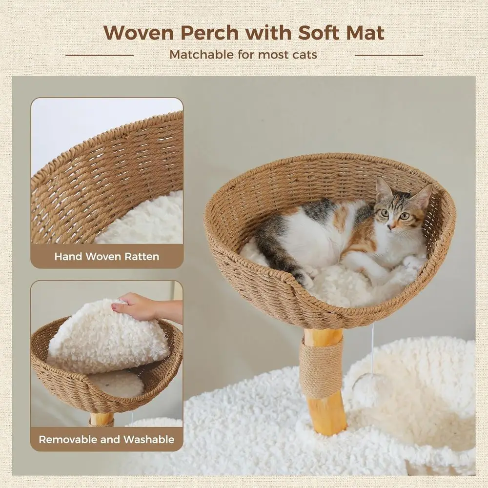 เสาแมวไม้เนื้อแข็งสูง 48.5 นิ้ - Cat Scratching Post บทวิจารณ์และราคา
