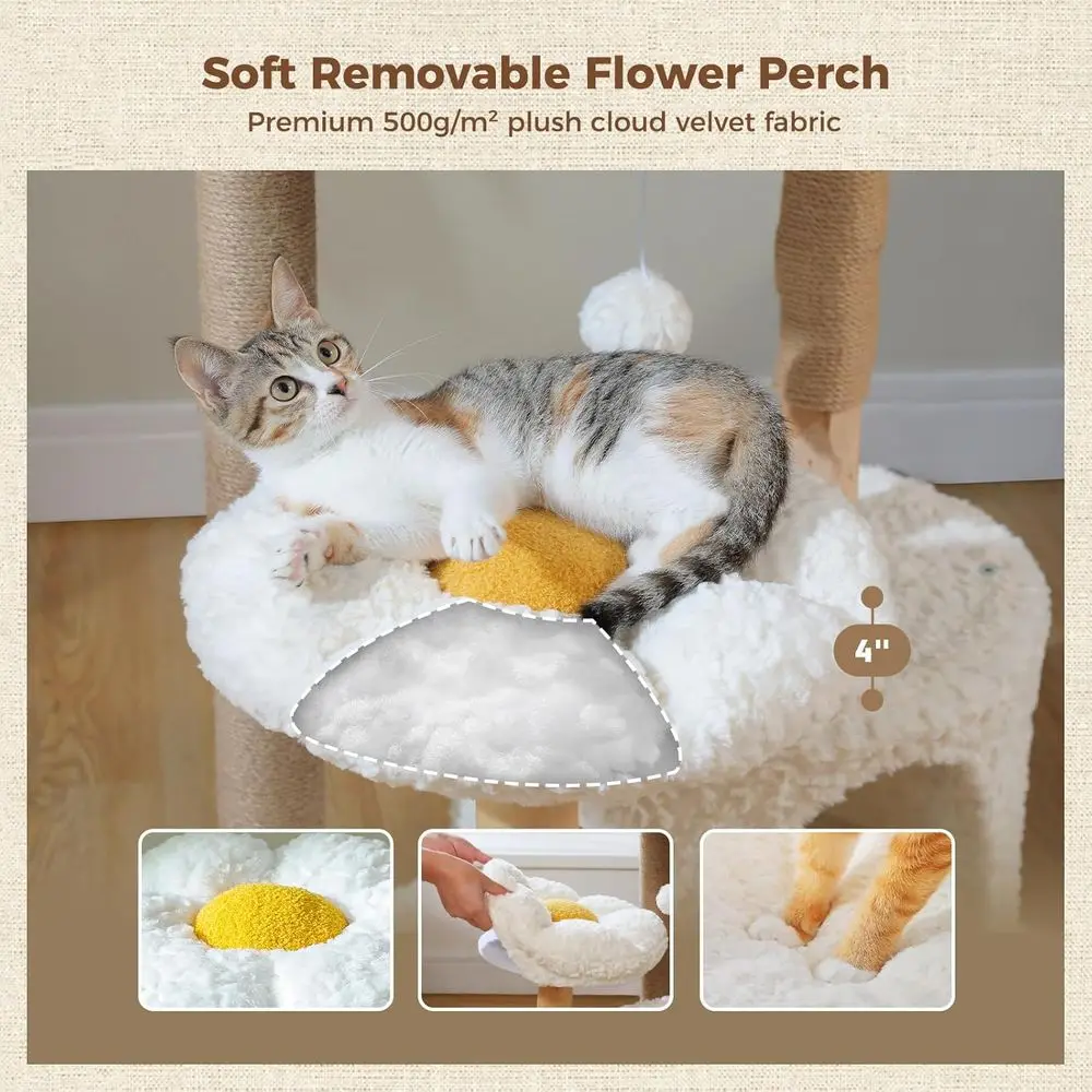 เสาแมวไม้เนื้อแข็งสูง 48.5 นิ้ - Cat Scratching Post บทวิจารณ์และราคา