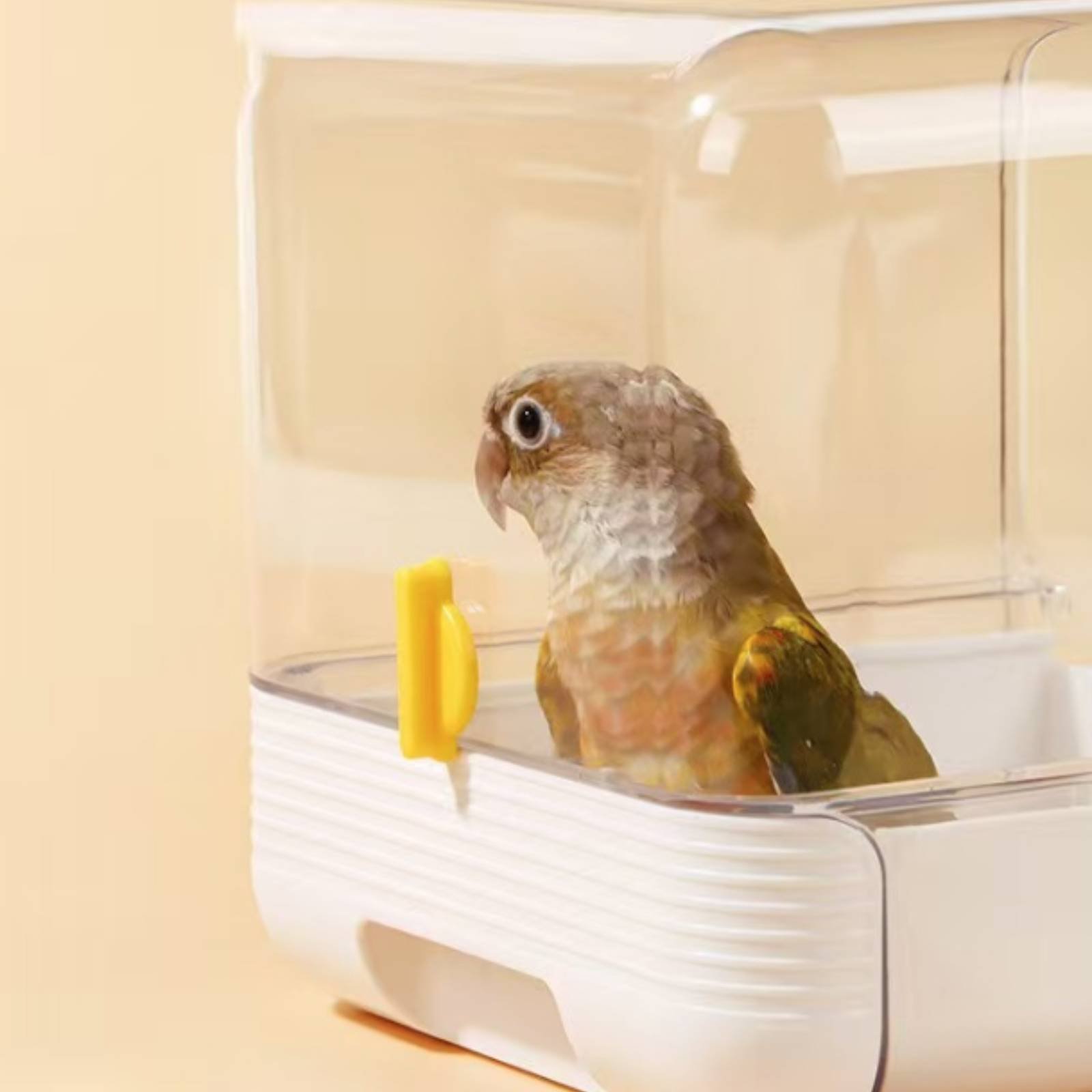 อ่างอาบน้ำนกแก้ว อ่างอาบน้ำนกแ - Pet Supplies Us บทวิจารณ์และราคา