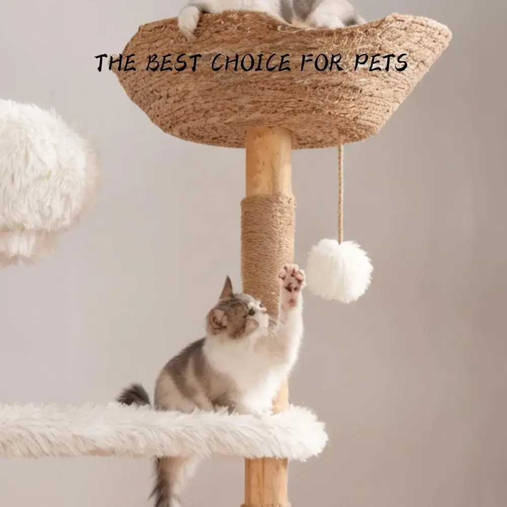 เสาแมวไม้ธรรมชาติพร้อมเสาข่วนซ - Cat Scratching Post บทวิจารณ์และราคา