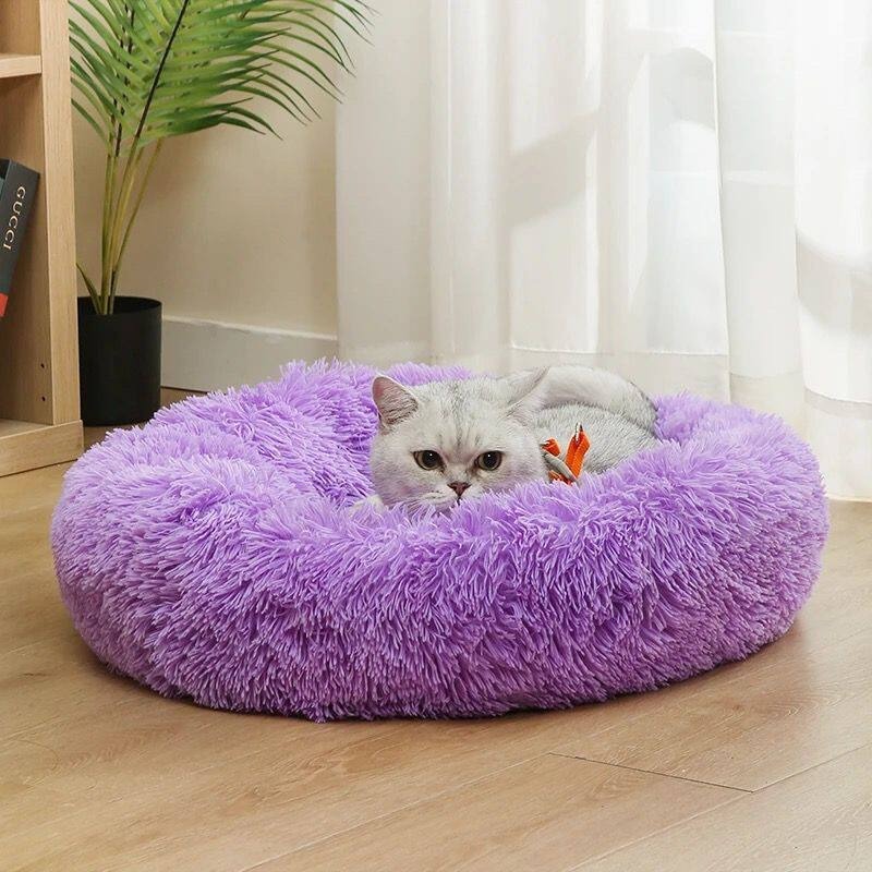 ที่นอนสุนัขผ้าฝ้ายปาร์ตี้คอตตอ - Pet Supplies Australia บทวิจารณ์และราคา